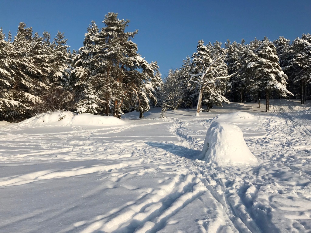 Firmenausflug Januar 2019 Reisebuero FORTUNA GmbH am Ufer des Finnischen Meerbusens